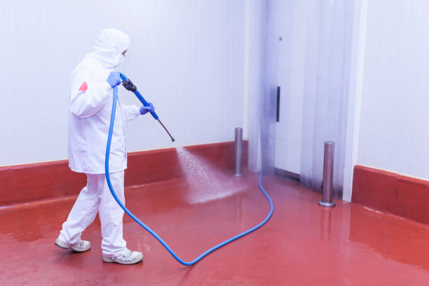 Pre-Holiday Cleaning in Woodside, PA